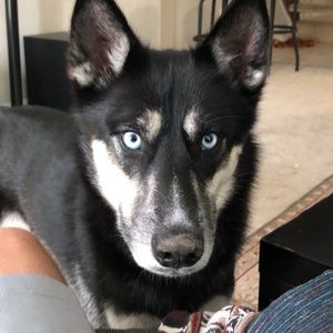 Meet your Posher, Matthew